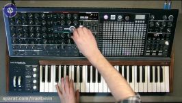 مروری بر امکانات ابر سینتی سایزر Arturia MatrixBrute