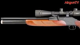 FIRST LOOK  Diana P1000 air rifle PCP