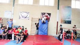 Festival parkour yazd92 RunIran Family