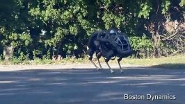 گربه وحشی،Boston Dynamics