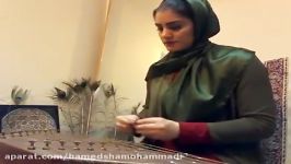 اجرای فوق العاده هنرمند ایرانی «حامدشامحمدی حامی »