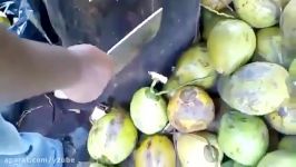 নারিকেল কাটতেছে নাকি যাদু দেখাইতেছে  Amazing Coconut Cutting Skills