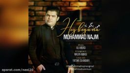 Mohammad Najm  Hey Begoo Na 2018