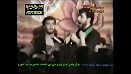 سید ذاکر حمید علیمی .بین تموم شاها