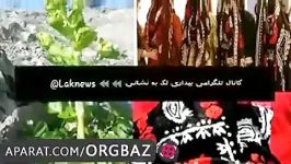 آهنگ لکی بسیار زیبا وجالب لیلی رجب زاده