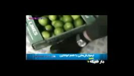 لیمو ترش طعم کوکائین.....