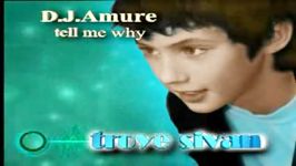 Tell Me Why DJ.Amure اسم خواننده Troye Sivan