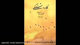 بخشی قطعه اشکباران.همنوازی نی کمانچه ارکستر