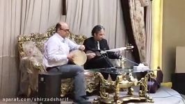 امیر احسان آقایی شیرزاد شریف