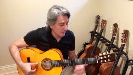 BABAK AMINI GUITAR CLASSES #4 scales Chords and Harmony #1