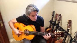 BABAK AMINI GUITAR CLASSES BASICS# 1