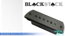 معرفی پیکاپ Fishman Blackstack Passive Soundhole