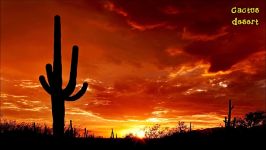 Wild Western Music  Cactus Desert