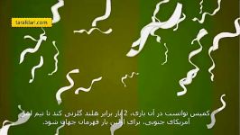 تاریخچه ارژانتین در جام جهانی به روایت کارتون