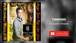 Hossein Habibi  Tanhaei حسین حبیبی  تنهایی