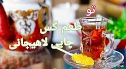 تو طعم گس چایی لاهیجانی،شعر امیر عزیزی، خوانش شیدا حبیبی