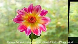 گوشه حجاز در آواز ابوعطا