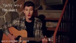 shawn mendes show you