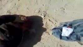 اجساد داعش در سامرا به دست ارتش عراق کشته شدند