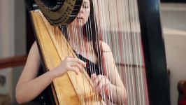 J.S. Bach  Toccata and Fugue in D Minor BWV 565 Amy Turk Harp