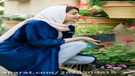 موسیقی اصیل  آهنگ حالا من گریه میکنم  خواننده علی سیار