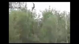 هرس کردن درختان توسط هلیکوپتر
