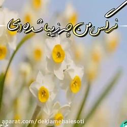 دکلمه صوتی نرگس من چه زیبا شده ای صدای یاسمن باقرپور