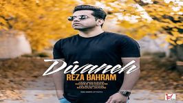 Reza Bahram  Divaneh رضا بهرام  دیوانه 