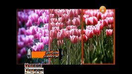 عشق.صفا آقا جانی صدای عشقِ بهرام حصیری