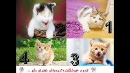 نظرسنجیکدوم نازتره؟؟