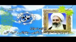 علامه امینی رحمه الله علیهو حافظ شیرازی