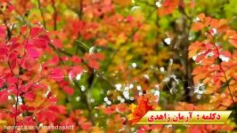 دکلمه ای آرمان زاهدی در مورد فصل زیبا پاییز