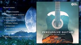 Acoustic Guitar Samples  Percussive Guitar