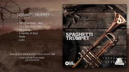 Trumpet Samples Loops Licks  Spaghetti Trumpet by Basement Freaks