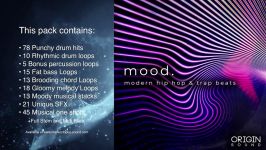 Moods  Modern Hip Hop and Trap Loops and Samples by Origin Sound
