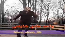 الباشا