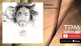 Amirabbas Golab  Delkhoshi امیرعباس گلاب  دلخوشی