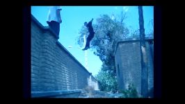 Parkour Esfahan