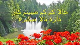 ترانه پیری معرکه گیری  یرگه کار مو تو داره بالا می گیره  استاد شجریان