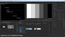 The Complete COLOR GRADING Tutorial for Premiere Pro