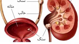 10 تا اختراعات مسلمانان جهان را متحول کرد