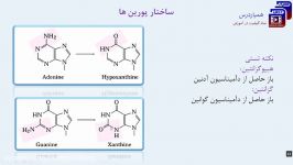 کامل ترین آموزش بیوشیمی 1