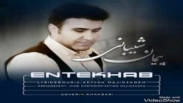  پیمان شیبانی  انتخاب Peyman Sheybani  Entekhab