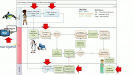 Transfusion Medicine Informatics ORCA Orders and Database Development