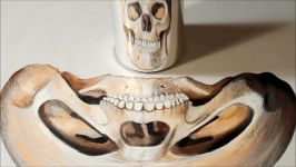 How to Draw Anamorphic Skull by Vamos