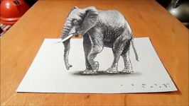 Drawing 3D Elephant  How to Draw 3D Elephant on Paper