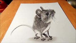 Drawing a Cute Mouse  How to Draw 3D Mouse  3D Trick Art  VamosART