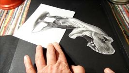 3D Drawing T Rex  How to Draw 3D Tyrannosaurus Rex