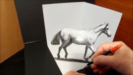 Drawing White Horse  3D Artistic Graphic  Awesome Trick Art