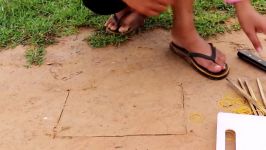 The First Unique Simple Bird Trap Make from Plastic Cutting Board 